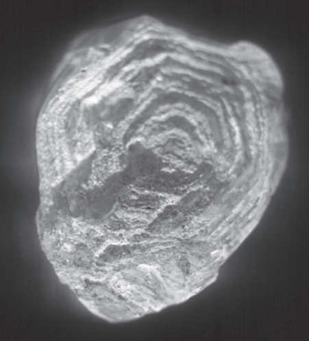 Diamant naturel brut en UV pour l’analyse en photoluminescence