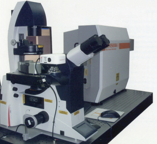 Renishaw Veeco BioScope II AFM couplé à un inVia Raman microscope