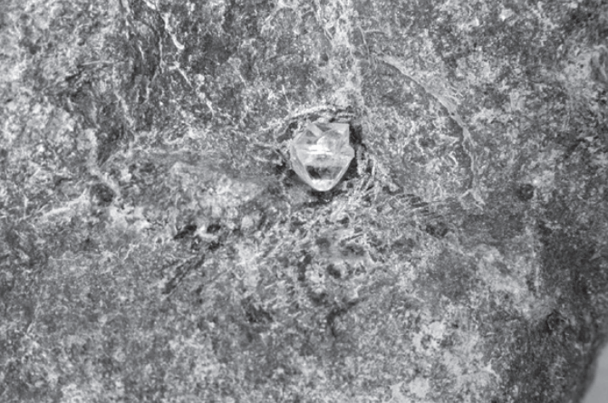 Kimberlite de la mine Premier, niveau -7 avec octaèdre