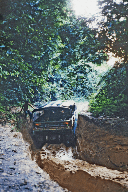 Une route dans la jungle guyanaise
