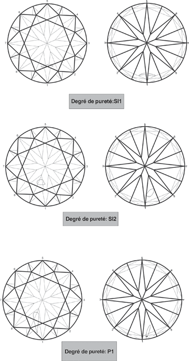Exemple d’inclusions en 3D SI à P